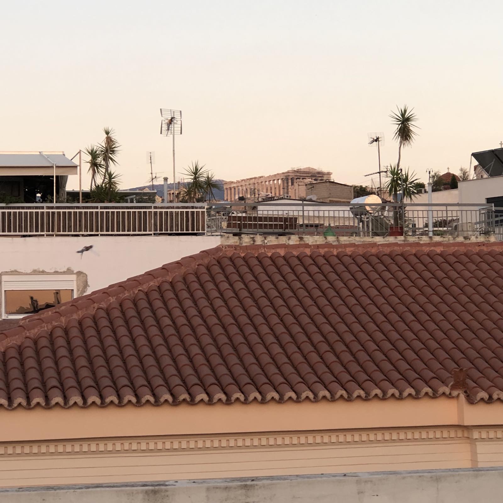 The Parthenon seen above the rooftops of Thissio at dusk
